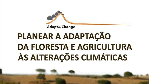 oficina-adpm