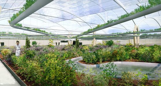 Agricultura-do-Futuro-1