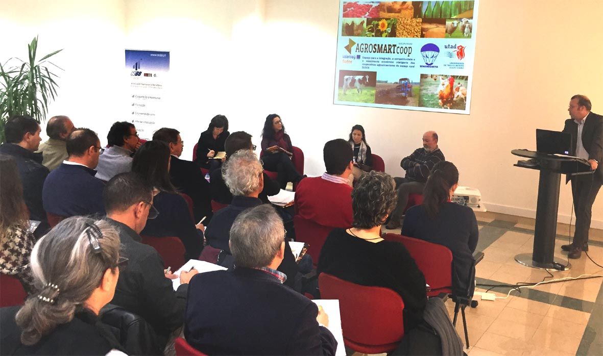 a2-copy
